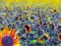 41 - Sunflowers - ARANHA GUACYR - brazil